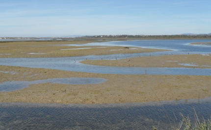 Câmara Olhão receia que demolições na Ria Formosa obrigue a indeminizações