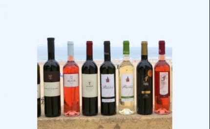 Portimão Wine Tasting na Fortaleza de Stª. Catarina