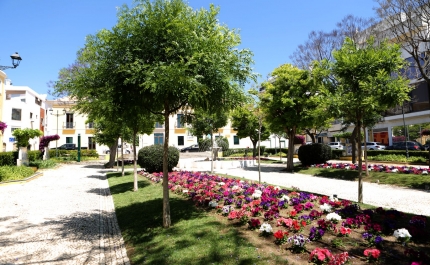 «Verão Azul» convida a leituras partilhadas entre escritores no Jardim 1º de dezembro