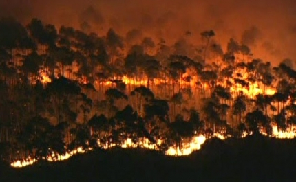 Incêndios: Feridas abertas pelo fogo há dois anos marcam o dia-a-dia na Serra de São Brás de Alportel