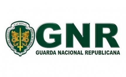 Campanha «Se bebeste, toma decisões inteligentes. Não conduzas.»