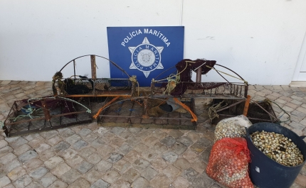 Polícia Marítima apreende 60kg de bivalves e cinco artes de pesca na Ria Formosa em Olhão