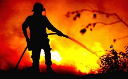 Dominado fogo em mato em Monchique