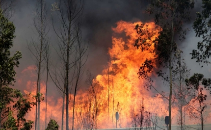 Incêndios: Vinte concelhos de seis distritos do continente em risco máximo