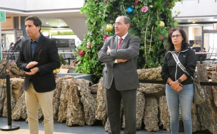 Mercado Municipal de Faro inaugura iluminação de Natal [c/fotogaleria]