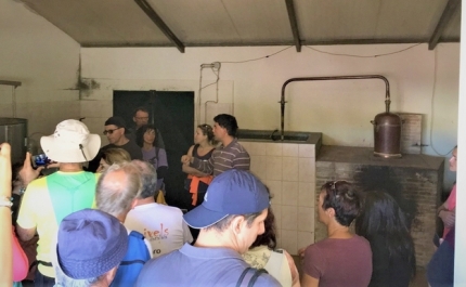 Passeio Pedestre na Cortelha mostra Destilarias de Aguardente de Medronho