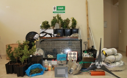 Individuo detido por tráfico de estupefacientes e posse de armas proibidas