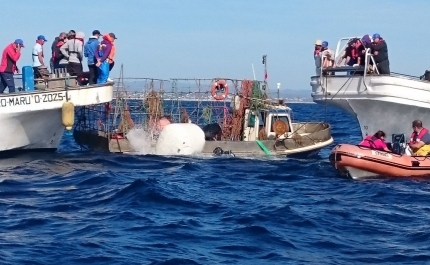 Reflutuação de embarcação naufragada ao largo de Olhão