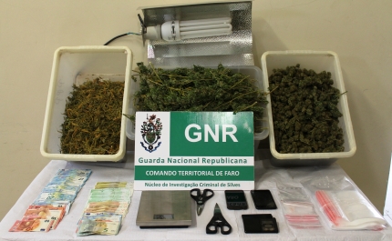 Apreensão de 2,2 quilos de cannabis em São Bartolomeu de Messines