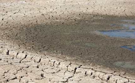 Seca: Falta de chuva é mais uma ameaça para a criação de cabras de raça algarvia