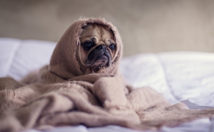 Conselhos práticos para evitar fugas de calor em casa - agora que o frio começa a apertar