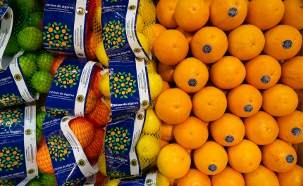  Citrinos do Algarve IGP no maior mercado de produtos frescos do mundo 