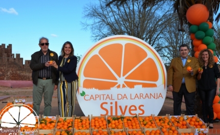 Produtores do concelho podem associar-se à marca «Silves, Capital da Laranja»