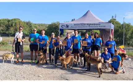 Associação Algharbravo encerra Campeonato Nacional de Dog Puller com resultados de excelência