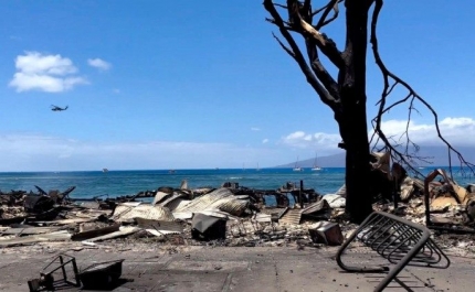 Lusodescendentes desaparecidos em incêndios no Havai