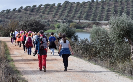 Alentejo Walking Festival 2025 «cumpriu o objetivo» e contou com mais de 1250 participantes