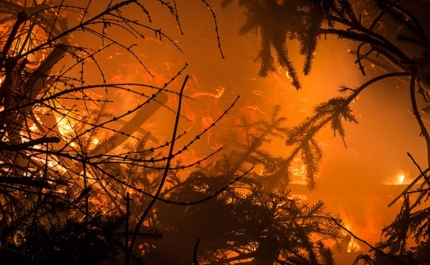 Proteção Civil Municipal alerta população para risco de incêndios