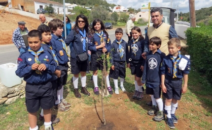 Plantação de amendoeiras assinala Dia da Árvore na União de Freguesias de Lagoa e Carvoeiro