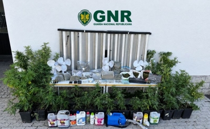 GNR | Tavira – Três detidos por tráfico de estupefacientes