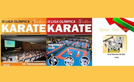 Liga Olímpica Karate 