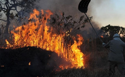 Oito concelhos de Faro e Santarém em risco máximo de incêndio