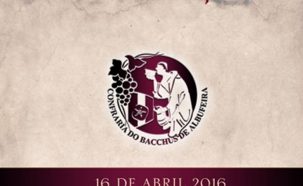 Paixão pelo vinho anima cidade 