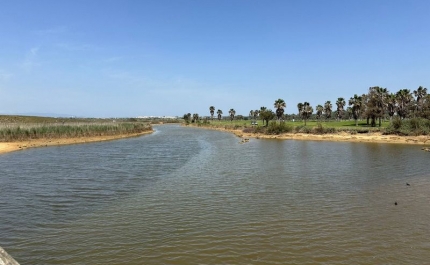 Associação defendem que Lagoa dos Salgados, no Algarve, deve ser reserva natural