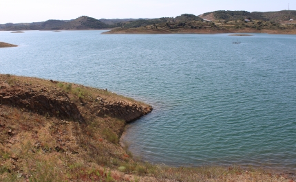 Seca: Barragens do Algarve a quase 50% asseguram abastecimento para mais de um ano