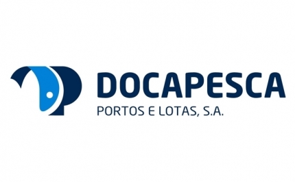  Reabilitação do Porto de Pesca de Olhão vai custar 290 mil euros