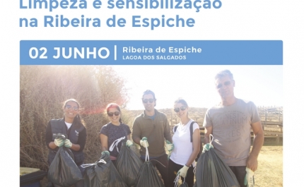 RIBEIRA DE ESPÍCHE VAI SER LIMPA NO DIA 2 DE JUNHO