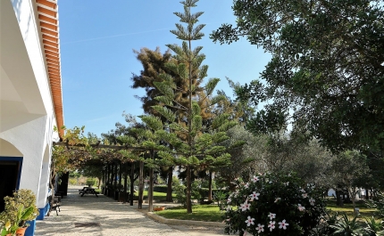 Quinta Pedagógica de Portimão expõe ferramentas e utensílios agrícolas antigos