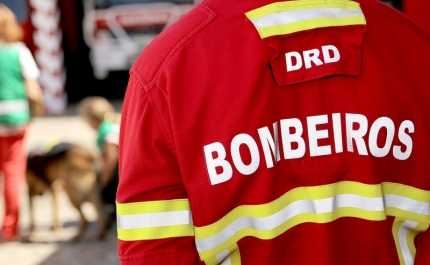 ADAPO disponibiliza material de recolha e tratamento de animais aos Bombeiros