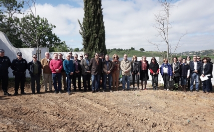 Município de Lagos vai ter 1º Cemitério para Animais no Algarve