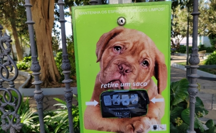 AUTARQUIA DE LOULÉ APOSTA EM SACOS BIODEGRADÁVEIS PARA DEJETOS CANINOS 