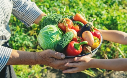 Governo duplica para 20 ME apoio para instalação de jovens agricultores