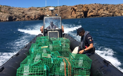 Lagoa | Fiscalização da Polícia Marítima resulta em apreensão de 40 «armadilhas de gaiola»