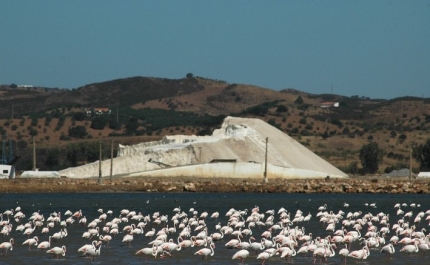 Autarquia de Castro Marim colabora com ICNF na promoção da marca “Natural.PT”