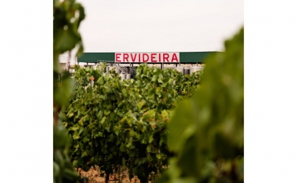 Programa de Sustentabilidade dos Vinhos do Alentejo atinge marca histórica de 30 produtores certificados