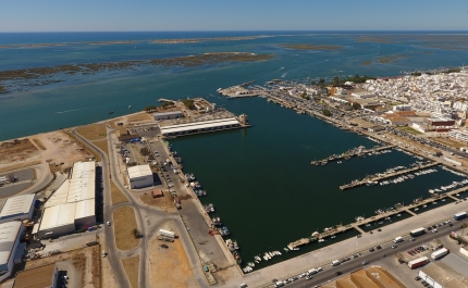 Porto de pesca de Olhão mais seguro