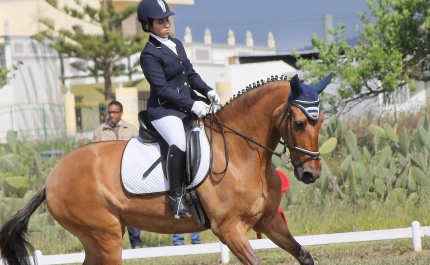 Junta de Freguesia de Quelfes promove manhã dedicada ao hipismo