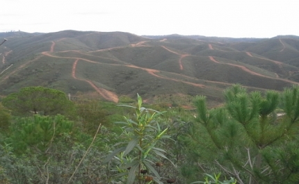 Prevenção estrutural aos fogos florestais 