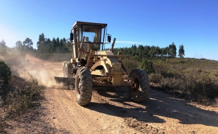 Município de São Brás de Alportel com nova empreitada de beneficiação de caminhos florestais