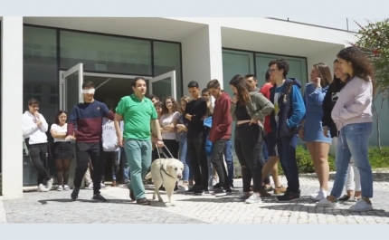 «Os olhos não vêem, o coração sente» 