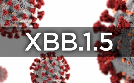 Covid-19: Nova variante XBB.1.5 detetada pela primeira vez na África do Sul