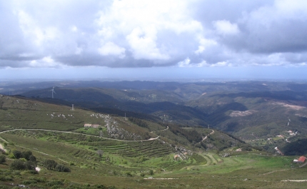 Monchique renasceu das cinzas e recuperou economia da floresta