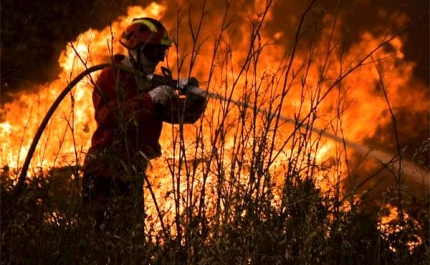 Município de Lagos participa na Constituição do DECIF 2016