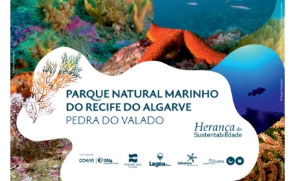 LAGOA CONGRATULA-SE COM CRIAÇÃO DO PARQUE NATURAL MARINHO DO RECIFE DO ALGARVE – PEDRA DO VALADO