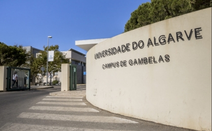 Boas Práticas para o Envelhecimento Ativo e Saudável discutidas na UAlg
