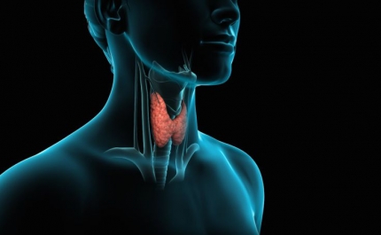 Falar a mesma linguagem, para ajudar a melhorar o diagnóstico das doenças da tiroide