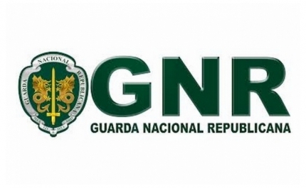 Atividade operacional das últimas 12 horas